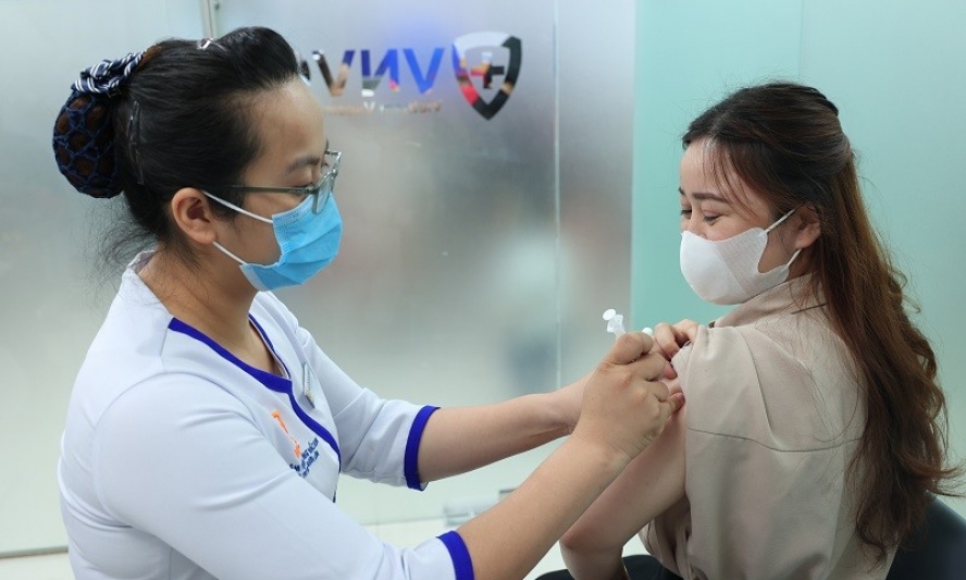 Gia tăng trẻ em nhập viện, tiêm vaccine dại vì bị chó nhà cắn