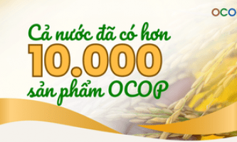 Cả nước đã có hơn 10 nghìn sản phẩm OCOP