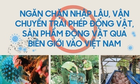 Ngăn chặn nhập lậu, vận chuyển trái phép động vật, sản phẩm động vật qua biên giới vào Việt Nam