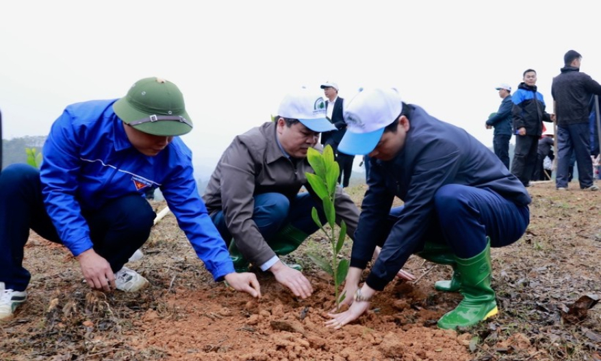 Chọn thời điểm phát động 'Tết trồng cây' ở các tỉnh phía Bắc và phía Nam