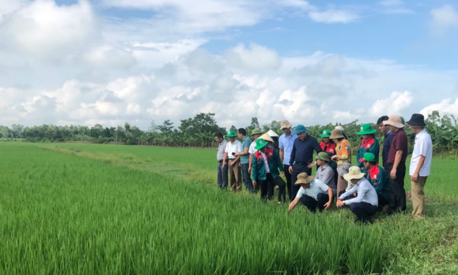 Gia tăng giá trị ngành trồng trọt