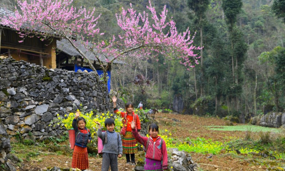 Bừng lên sức sống, niềm tin trong năm mới