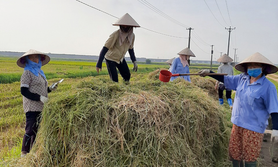 Thúc đẩy kinh tế nông nghiệp xanh