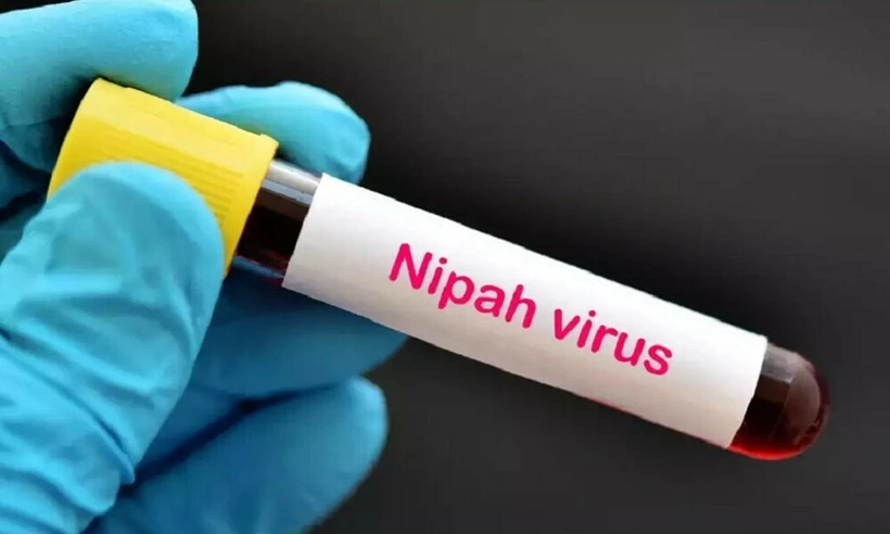 Bangladesh: Ca tử vong đầu tiên do virus Nipah sau khi uống nhựa chà là