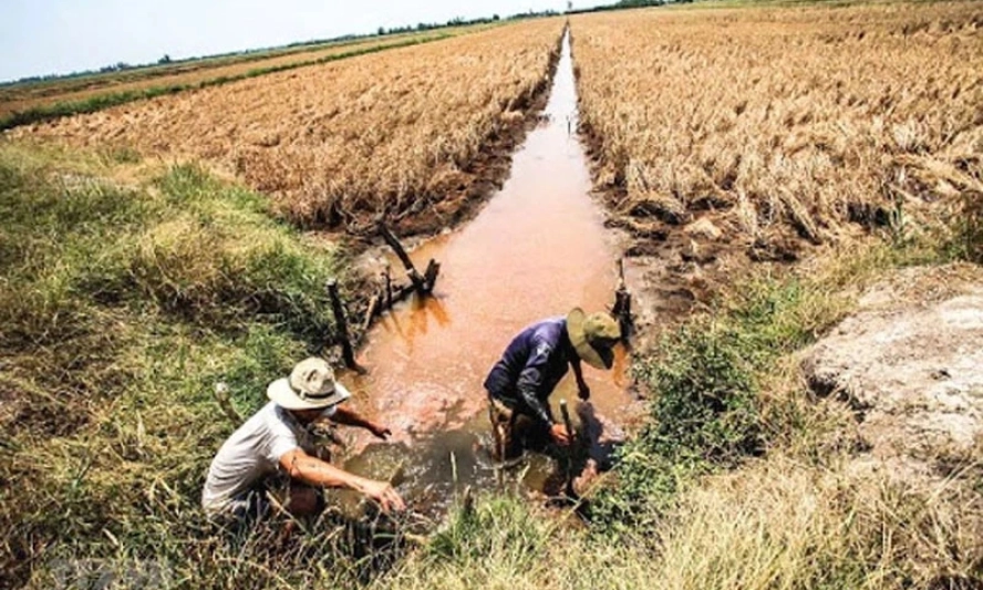 Xâm nhập mặn ở đồng bằng sông Cửu Long có xu thế tăng dần