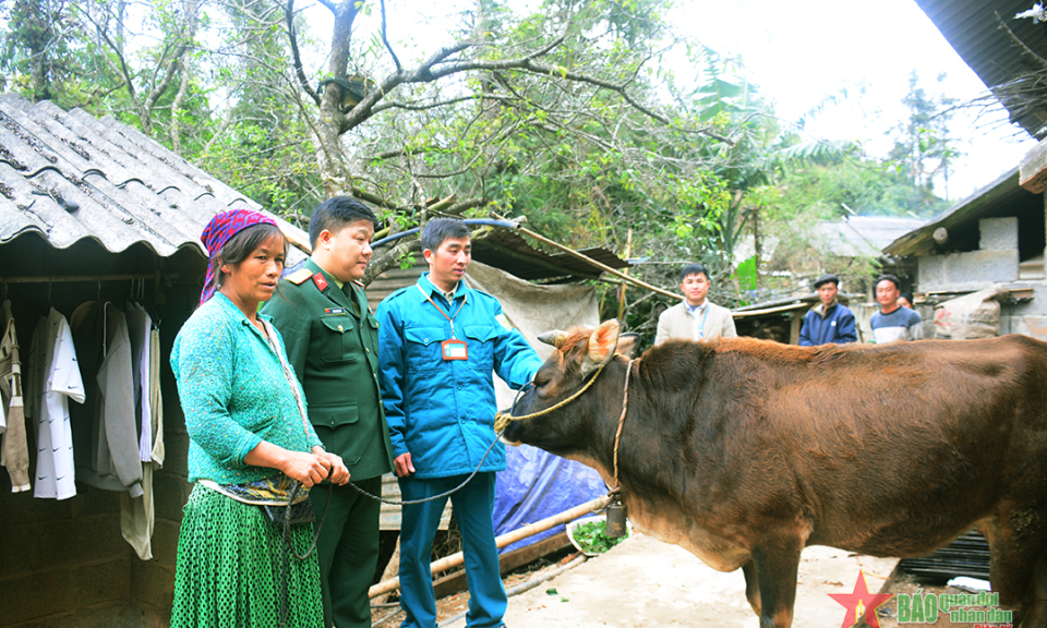 Huyện Mèo Vạc (Hà Giang): Trao bò giống tặng chiến sĩ hoàn thành nghĩa vụ quân sự