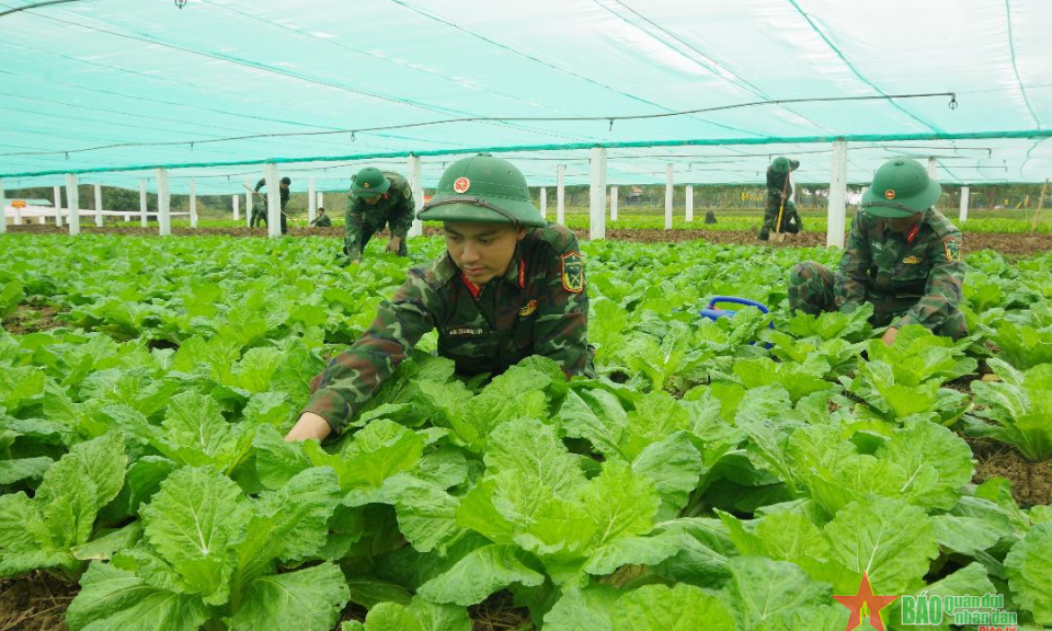 Bảo đảm tốt các mặt hậu cần đón nhận, huấn luyện chiến sĩ mới