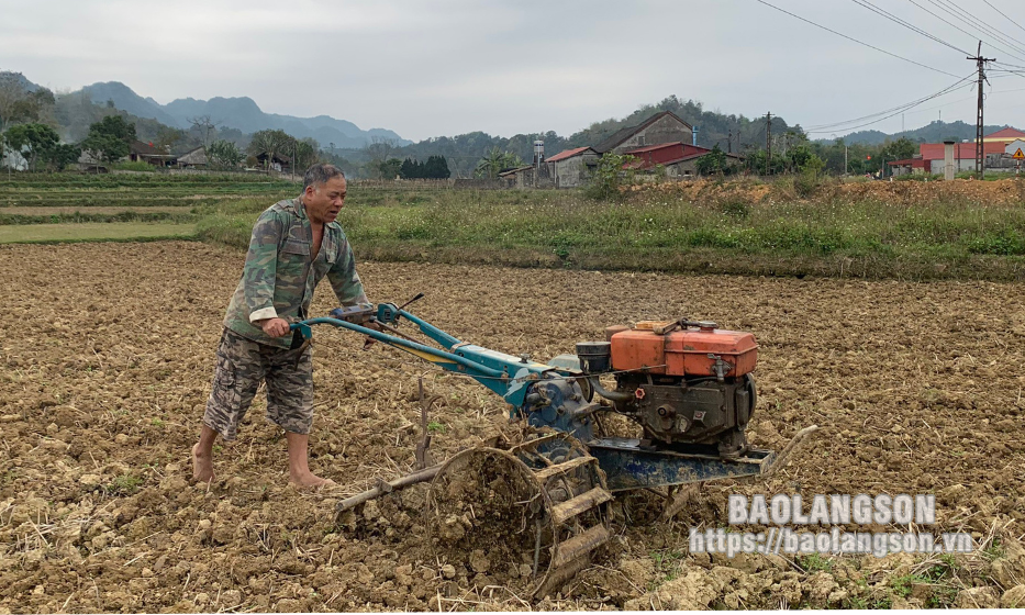 Nông dân rộn rã xuống đồng đầu xuân