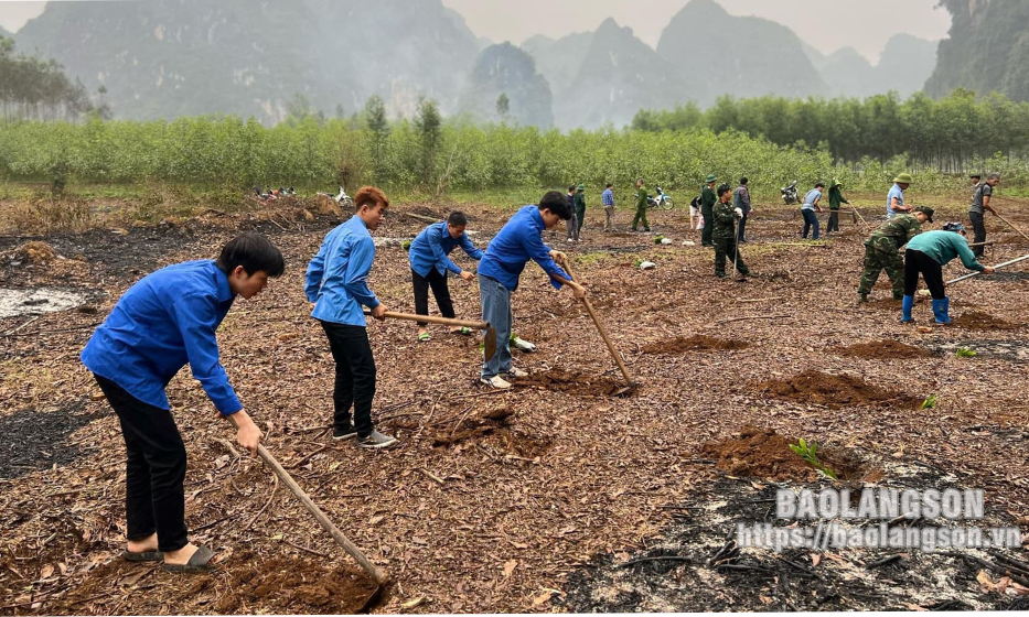 Trồng cây xanh, phong trào ý nghĩa của thanh niên các cấp