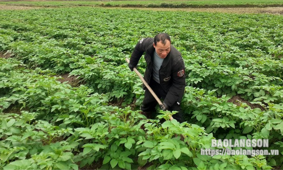 Anh Nghĩa làm giàu từ mô hình kinh tế tổng hợp