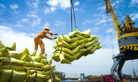 Vietnam's rice exports to Senegal remain low compared to demand