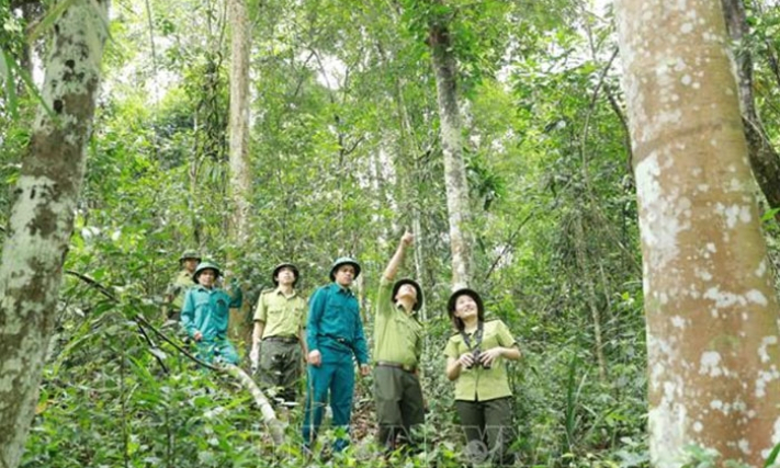 Đẩy mạnh tuyên truyền chủ trương của Đảng về bảo vệ rừng