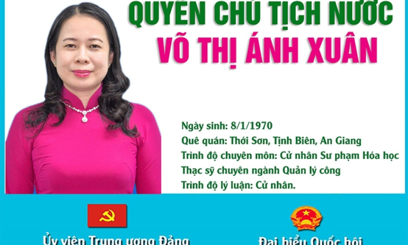 Chân dung Quyền Phó Chủ tịch nước Võ Thị Ánh Xuân