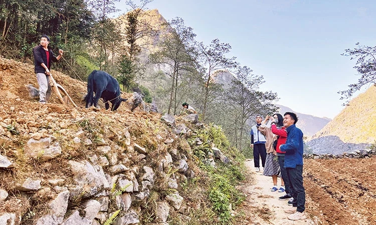 Ước mơ du lịch trên cao nguyên đá