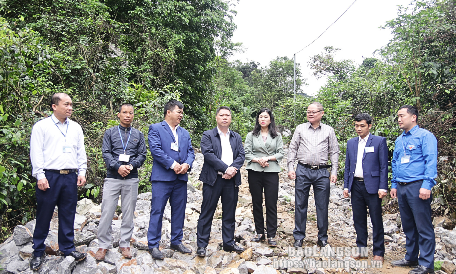 Lãnh đạo UBND tỉnh kiểm tra tại huyện Chi Lăng