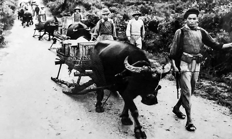 Lừng lẫy Điện Biên, chấn động địa cầu: Quân và dân Khu Tây Bắc trong chiến dịch Điện Biên Phủ