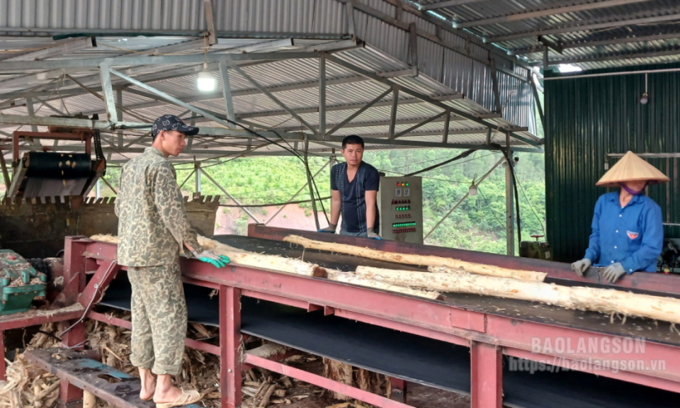 Đồng bộ giải pháp hỗ trợ phát triển hợp tác xã