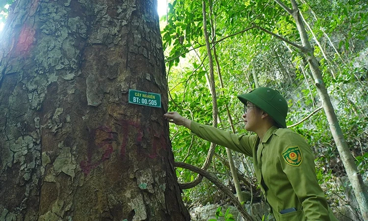 Chinh phục Nam Xuân Lạc