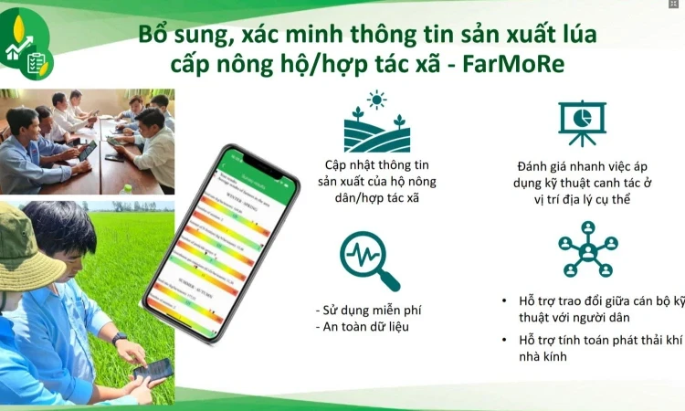 Giải pháp để xây dựng hệ sinh thái dữ liệu số phục vụ quản lý sản xuất lúa hiệu quả