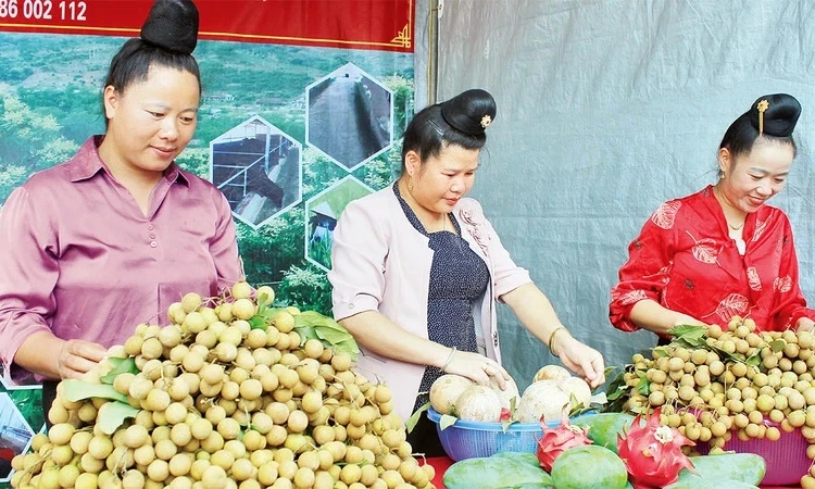 Gia tăng số lượng doanh nghiệp nông nghiệp