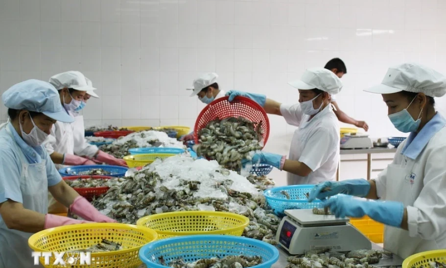 Lần đầu tiên Việt Nam đứng thứ 5 xuất khẩu thủy sản vào Singapore