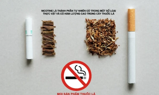 Quan ngại về thuốc lá điện tử, thuốc lá làm nóng: Cần hướng giải quyết toàn diện
