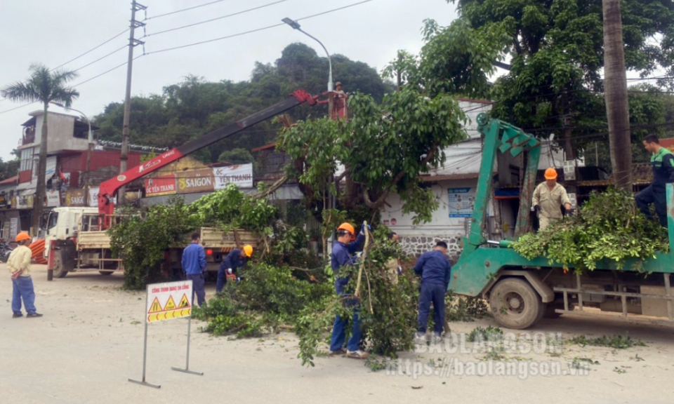 Thành phố Lạng Sơn: Phòng tránh thiệt hại do cây xanh gãy, đổ trong mùa mưa bão