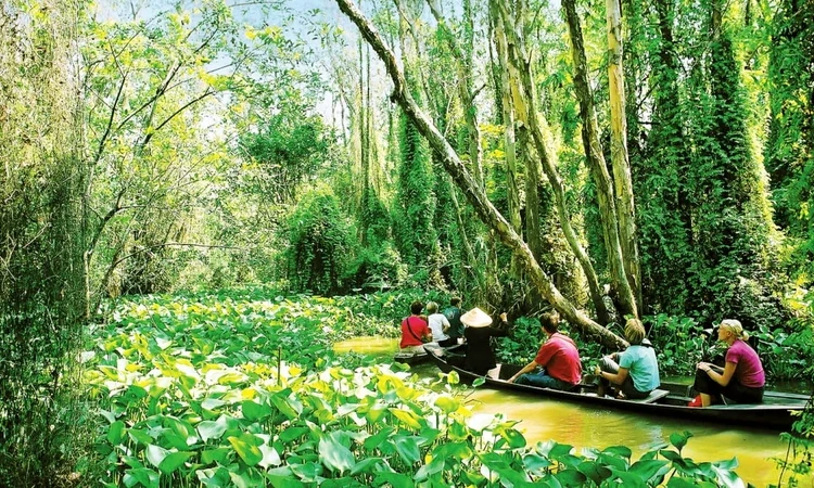 Tăng giá trị đa dụng của hệ sinh thái rừng