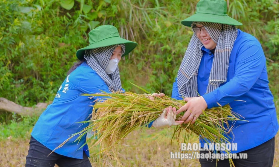 Bí thư đoàn thanh niên năng động, nhiệt huyết