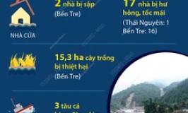 Thiệt hại do thiên tai xảy ra ngày 8 và 9/6/2024 tại một số địa phương