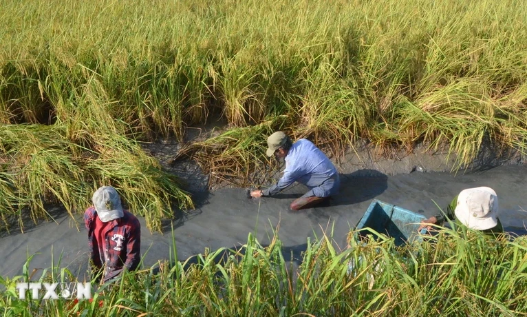 Chuyển đổi xanh để phát triển nông nghiệp, nông thôn bền vững