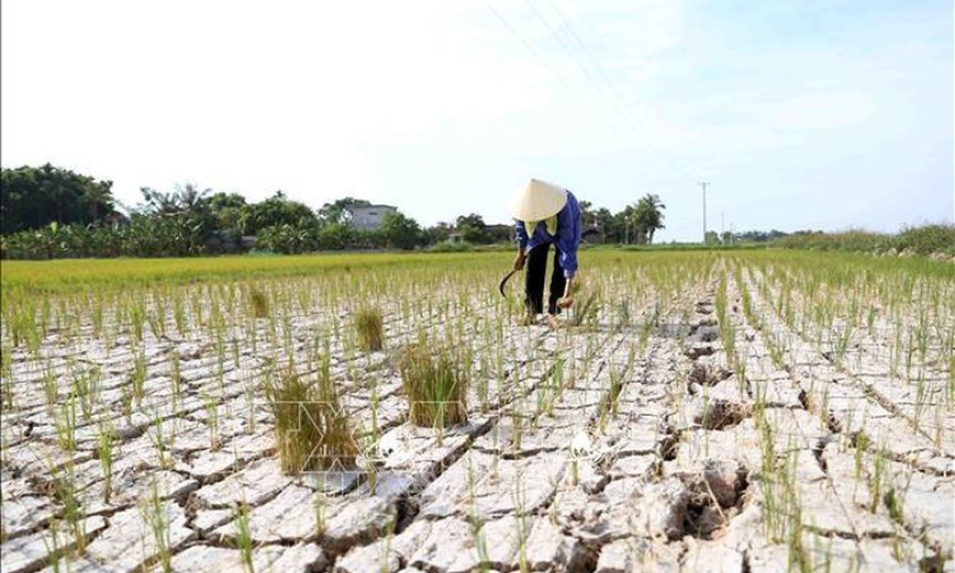 Chung tay chống sa mạc hóa và hạn hán