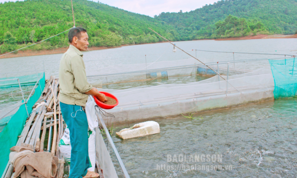 Bảo đảm an toàn nuôi trồng thủy sản trong mùa mưa bão