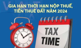 Đối tượng được gia hạn nộp thuế, tiền thuê đất năm 2024