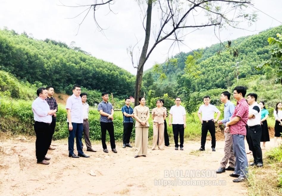 Đoàn công tác kiểm tra thực tế công trình giao thông trên địa bàn xã Xuân Dương