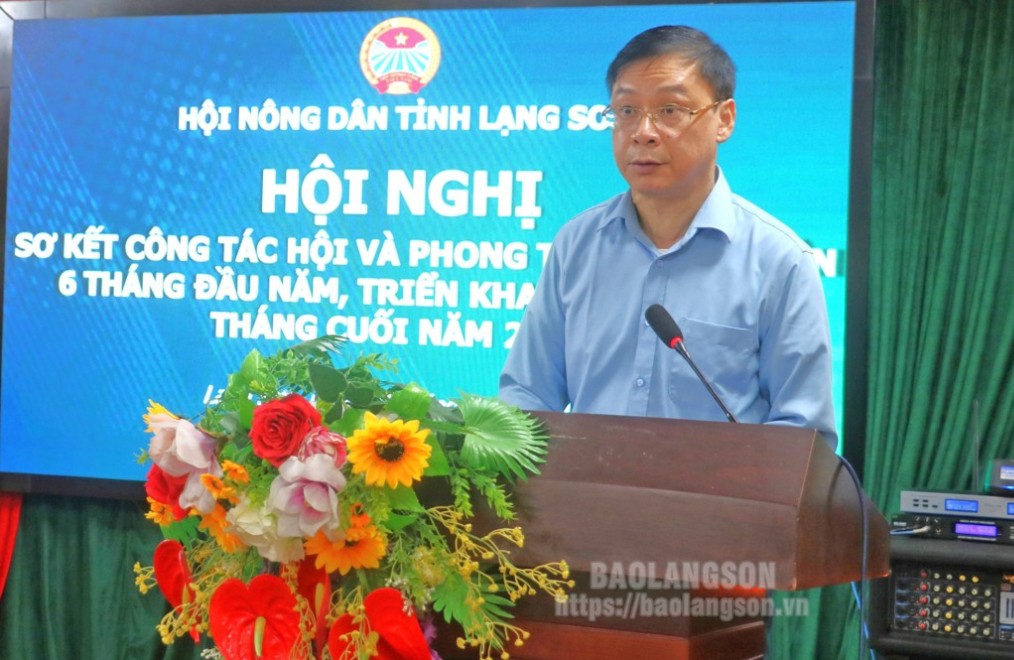 Lãnh đạo HND tỉnh phát biểu tại hội nghị