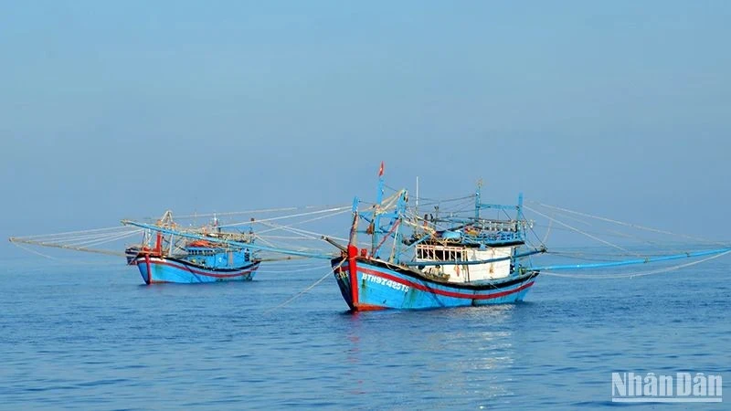 Ảnh minh họa. (Nguồn: Đình Châu)