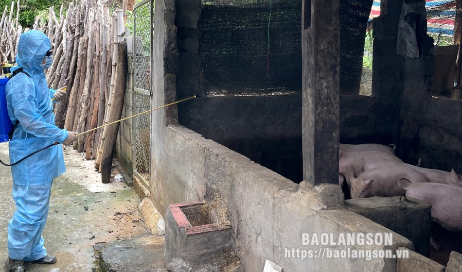 Cán bộ thú y phun tiêu độc khử trùng chuồng trại chăn nuôi trên địa bàn huyện Văn Quan