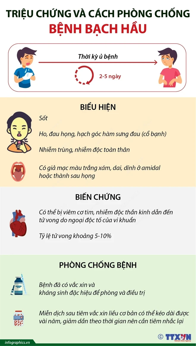 Bệnh bạch hầu có thể được phòng ngừa hiệu quả bằng việc tiêm vaccine đầy đủ và đúng lịch. (Nguồn: TTXVN)