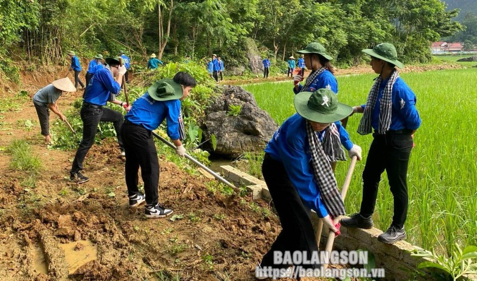 Tình nguyện viên Trường Đại học Xây dựng Hà Nội chuẩn bị mặt bằng để bê tông đường giao thông