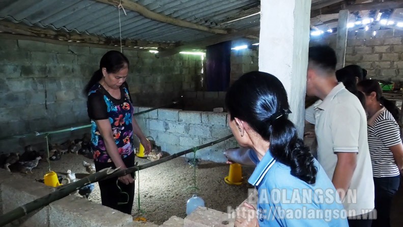 Người dân xã Tú Đoạn, huyện Lộc Bình thực hành kỹ thuật chăn nuôi gà