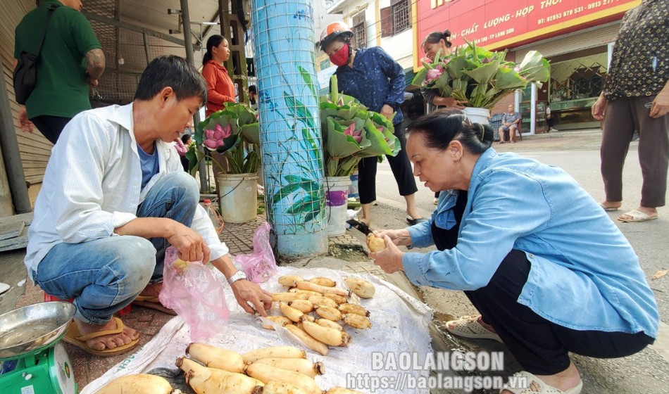 Hiện nay, thị trường tiêu thụ củ sen không chỉ gói gọn ở việc bà con bán lẻ ở các chợ trên địa bàn thành phố Lạng Sơn như: Giếng Vuông, Kỳ Lừa, Đông Kinh… mà còn được thương lái thu mua đem bán tại các tỉnh bạn như: Bắc Ninh, Cao Bằng… Với giá bán dao động từ 30 đến 40 nghìn đồng/kg, nhiều hộ dân trồng sen lấy củ trên địa bàn xã Hòa Cư đã có thêm thu nhập, cải thiện đời sống. 