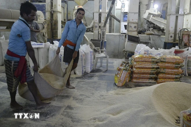 Công nhân vận chuyển gạo tại nhà máy ở Hyderabad, Ấn Độ. (Ảnh: AFP/TTXVN)