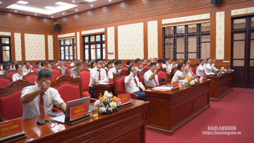 Các đại biểu biểu quyết thông qua nghị quyết