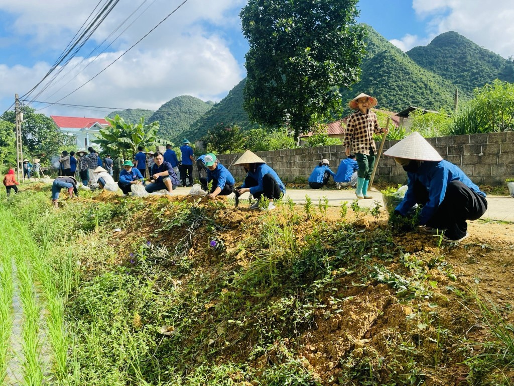 Đoàn viên, thanh niên triển khai vệ sinh môi trường tại xã Tân Thành