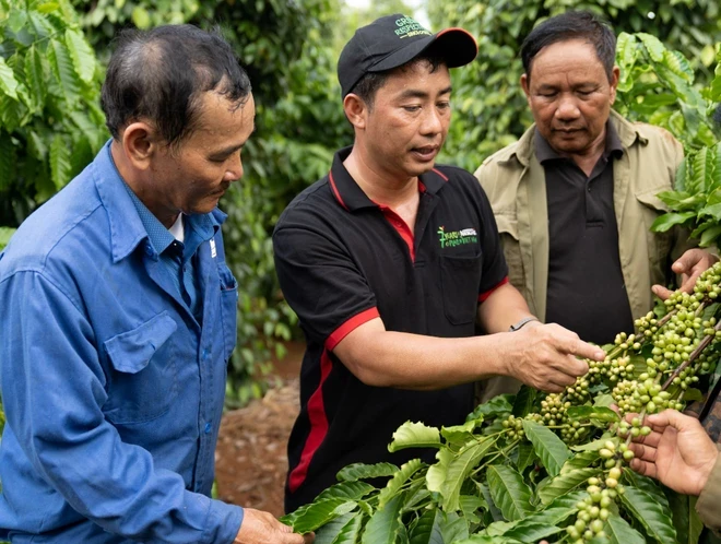 Việc liên kết chặt chẽ giữa các doanh nghiệp nông nghiệp và các tổ chức doanh nghiệp khoa học là tất yếu để tạo ra sức mạnh tổng thể, phát huy nguồn lực. (Ảnh: Vietnam+)