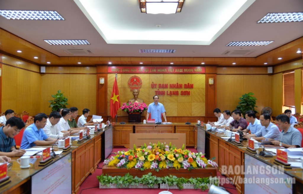 Đồng chí Dương Xuân Huyên, Ủy viên Ban Thường vụ Tỉnh ủy, Phó Chủ tịch Thường trực UBND tỉnh phát biểu kết luận tại cuộc họp