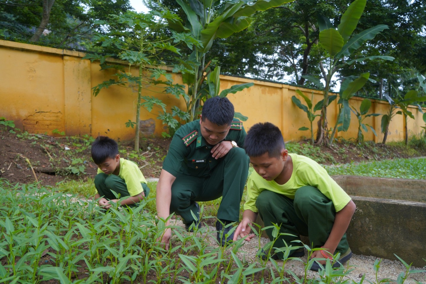 Bên cạnh các hoạt động huấn luyện, các em còn được trải nghiệm chăm sóc vườn rau, nhặt cỏ,... thuộc khu vực tăng gia sản xuất của đơn vị.
