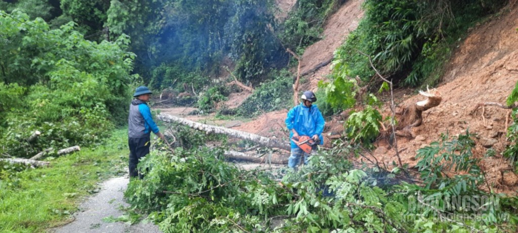 Các đơn vị liên quan trên địa bàn huyện Văn Quan khắc phục sự cố cây đổ để đảm bảo giao thông