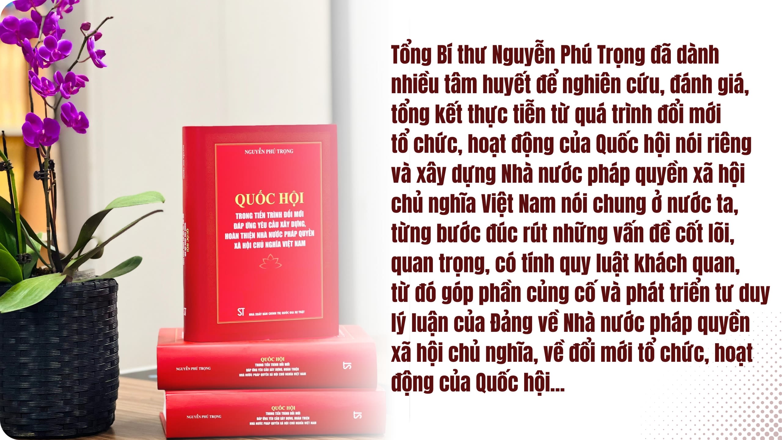 Ảnh tràn viền